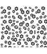 FOAMI PRINTED