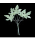 PORCELAIN LEAF "PARRA"