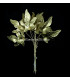 PORCELAIN LEAF "PARRA"