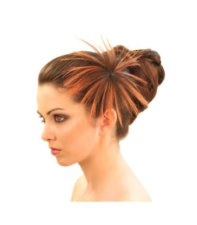 COMPLEMENTO PARA EL CABELLO