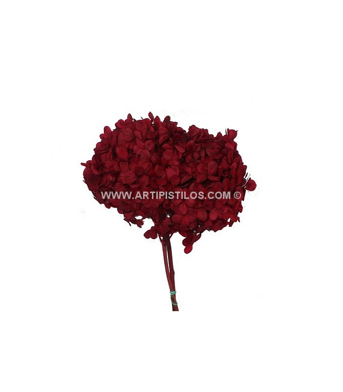 HORTENSIA PRESERVED FLOWER. BOUQUET