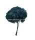 HORTENSIA PRESERVED FLOWER. BOUQUET