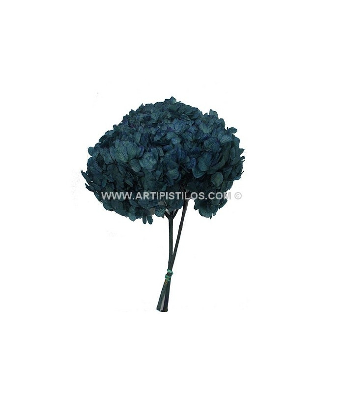 HORTENSIA PRESERVED FLOWER. BOUQUET