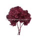 HORTENSIA PRESERVED FLOWER. BOUQUET