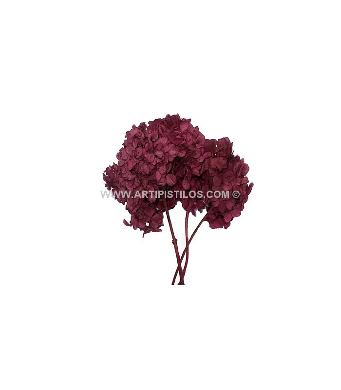 HORTENSIA PRESERVED FLOWER. BOUQUET