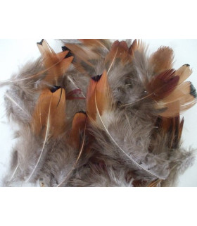 PHEASANT FEATHERS PACKET 10 GRS.