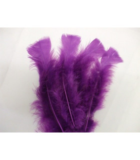 TURKEY FLAT FEATHERS PACKET