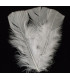 TURKEY FLAT FEATHERS PACKET