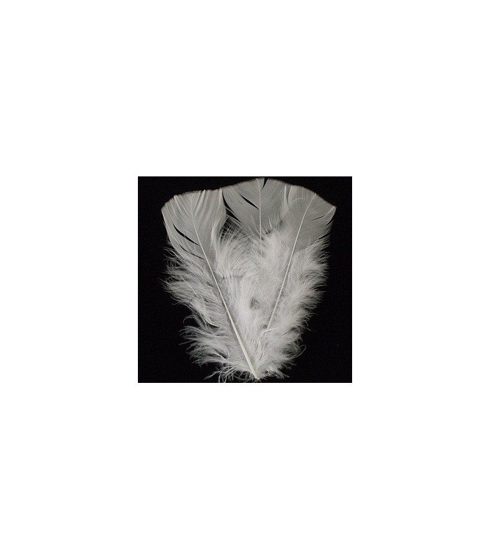 TURKEY FLAT FEATHERS PACKET