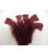 TURKEY FLAT FEATHERS PACKET