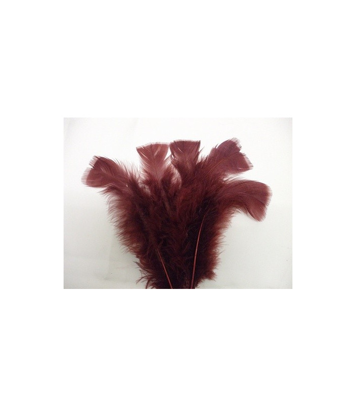 TURKEY FLAT FEATHERS PACKET
