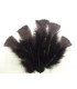 TURKEY FLAT FEATHERS PACKET