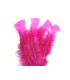 TURKEY FLAT FEATHERS PACKET