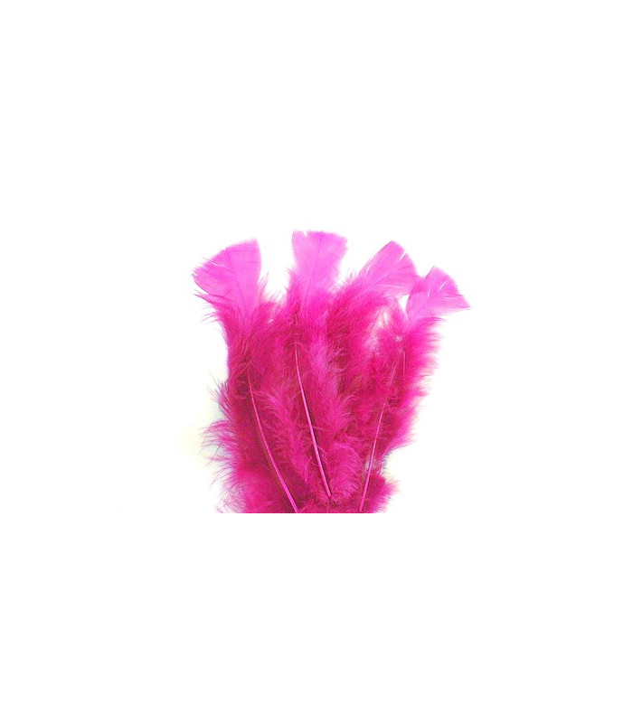 TURKEY FLAT FEATHERS PACKET