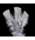 TURKEY FLAT FEATHERS PACKET