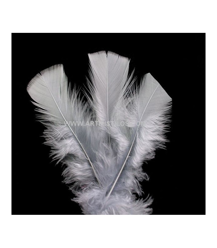 TURKEY FLAT FEATHERS PACKET