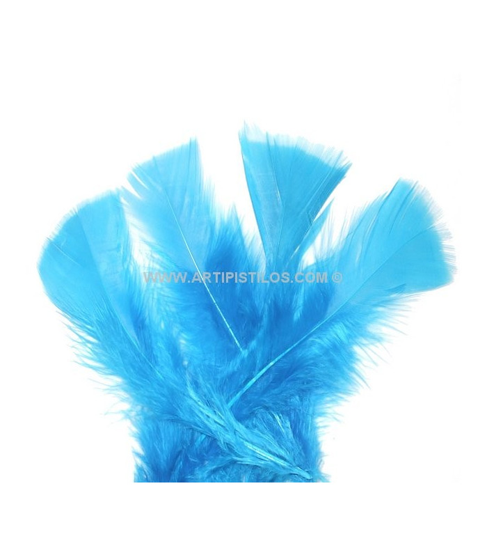 TURKEY FLAT FEATHERS PACKET