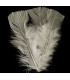 TURKEY FLAT FEATHERS PACKET