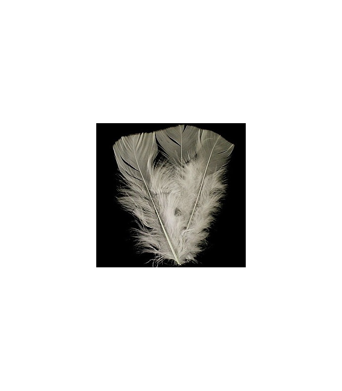 TURKEY FLAT FEATHERS PACKET