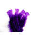 TURKEY FLAT FEATHERS PACKET