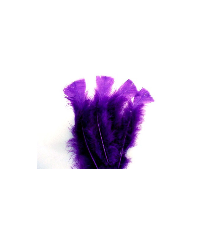 TURKEY FLAT FEATHERS PACKET