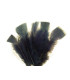 TURKEY FLAT FEATHERS PACKET