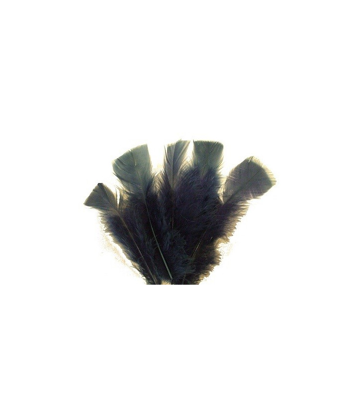 TURKEY FLAT FEATHERS PACKET