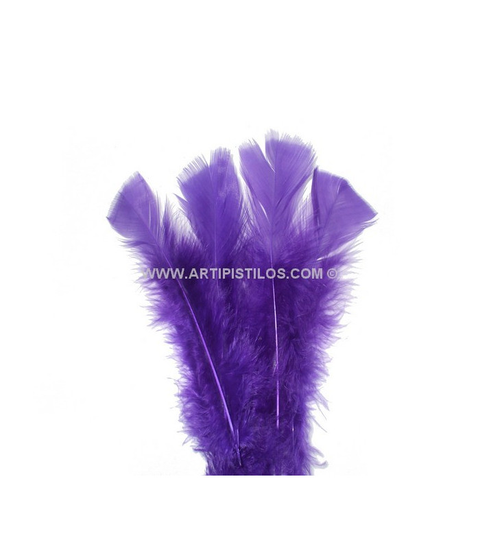 TURKEY FLAT FEATHERS PACKET