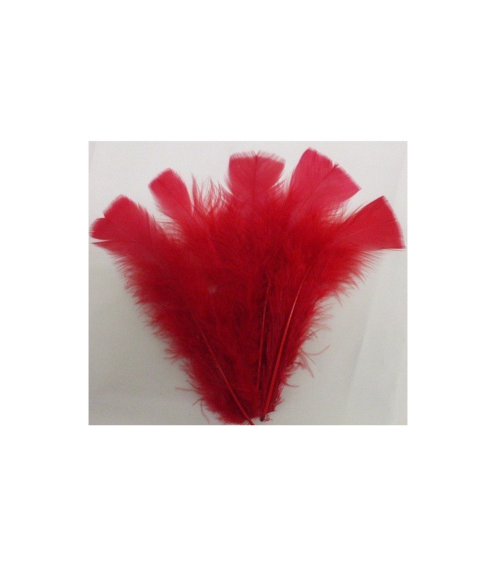 TURKEY FLAT FEATHERS PACKET