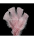 TURKEY FLAT FEATHERS PACKET
