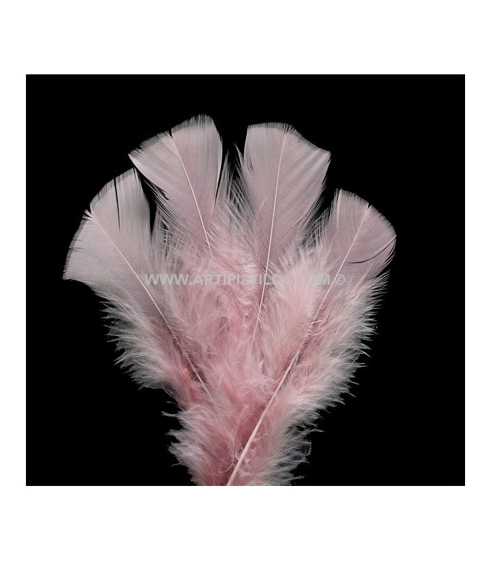 TURKEY FLAT FEATHERS PACKET