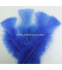 TURKEY FLAT FEATHERS PACKET
