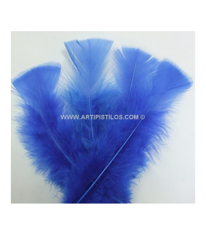 TURKEY FLAT FEATHERS PACKET