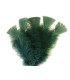 TURKEY FLAT FEATHERS PACKET