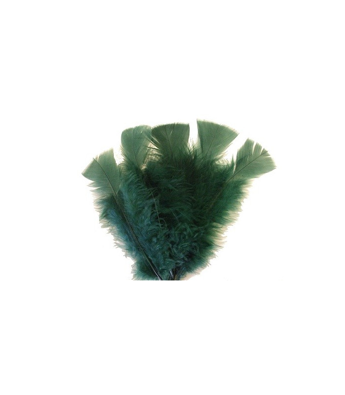 TURKEY FLAT FEATHERS PACKET