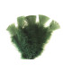 TURKEY FLAT FEATHERS PACKET