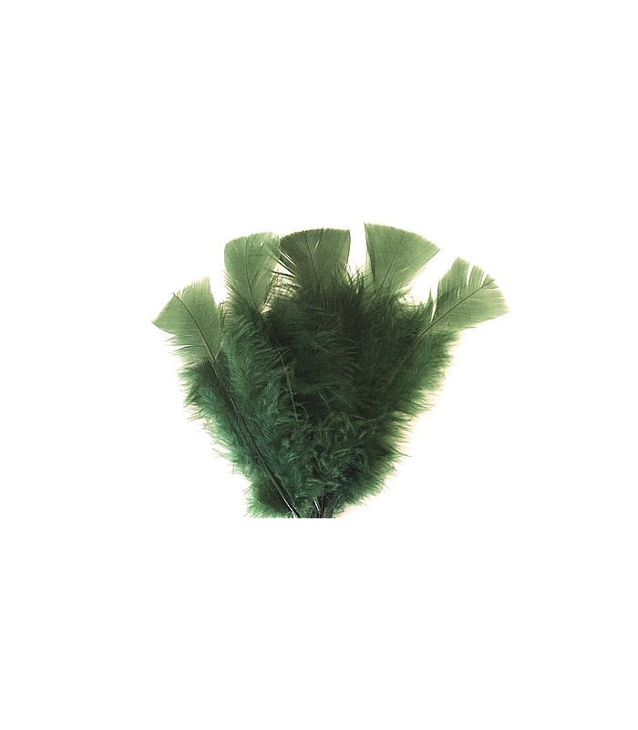TURKEY FLAT FEATHERS PACKET