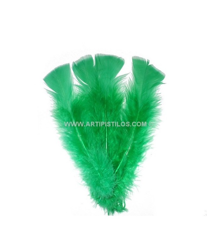 TURKEY FLAT FEATHERS PACKET