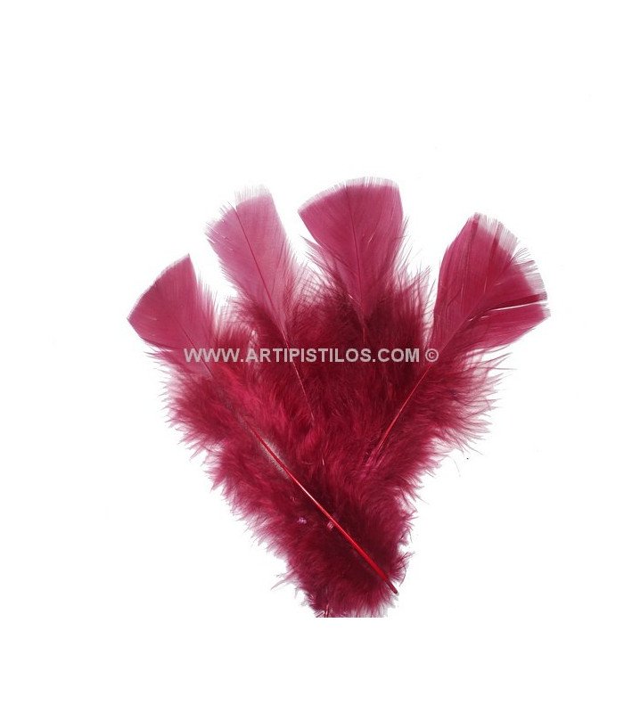 TURKEY FLAT FEATHERS PACKET