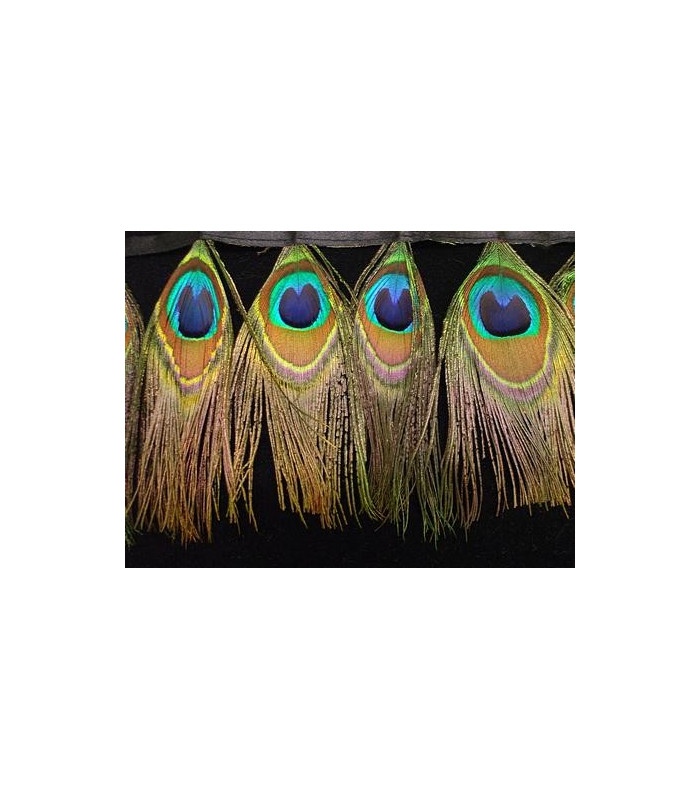PEACOCK FEATHERS 10 CMS.