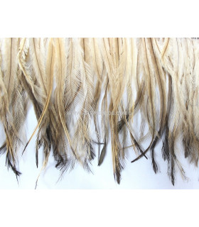 EMÚ FEATHERS 10 CMS.