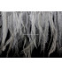 EMÚ FEATHERS 10 CMS.