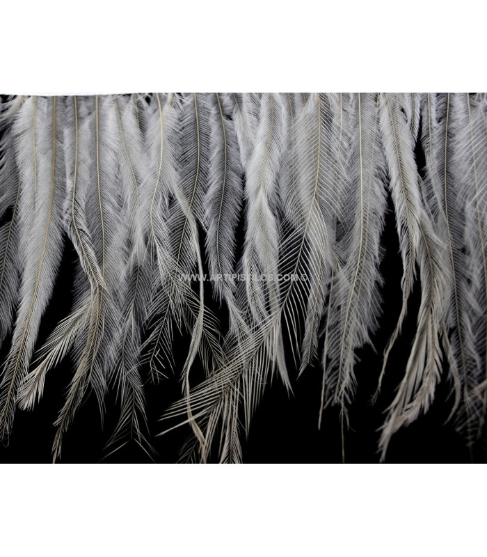 EMÚ FEATHERS 10 CMS.