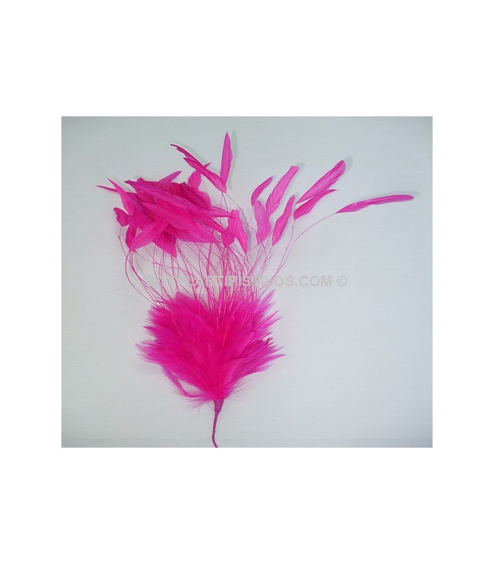 FEATHER MOUNT 30/35 CMS.