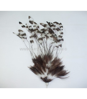 Pomo Pluma De Gallo 30/35 Cms. Chocolate 30/35 Cms. - plumas para