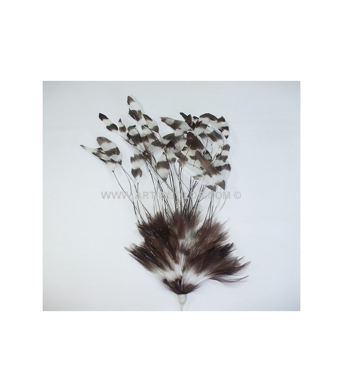 FEATHER MOUNT 30/35 CMS.