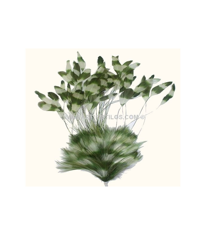 FEATHER MOUNT 30/35 CMS.