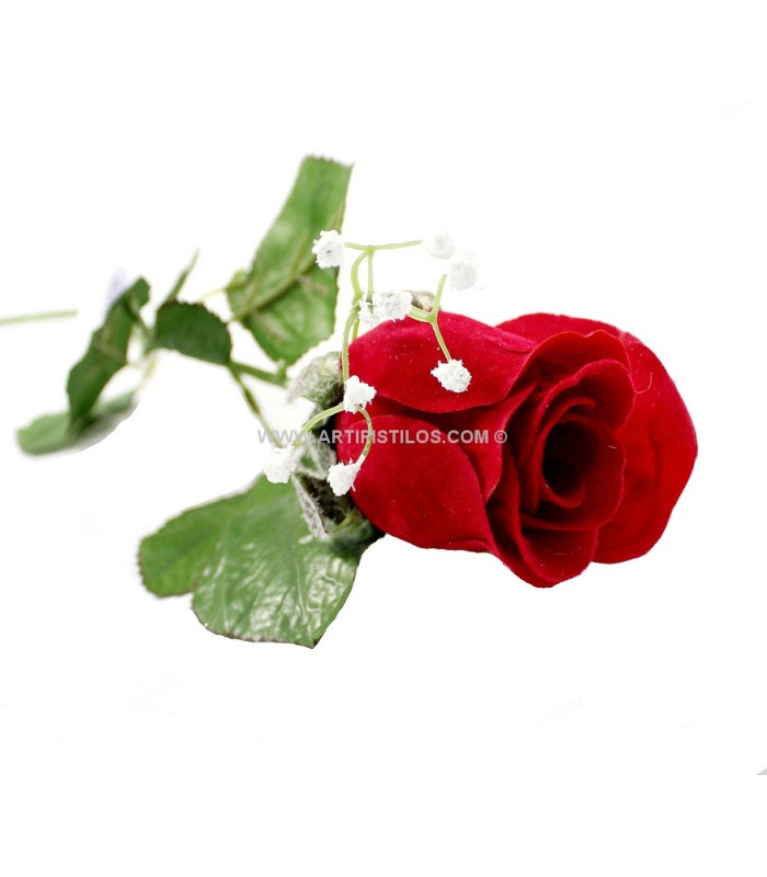 VELVET ROSE WITH PANICULATA