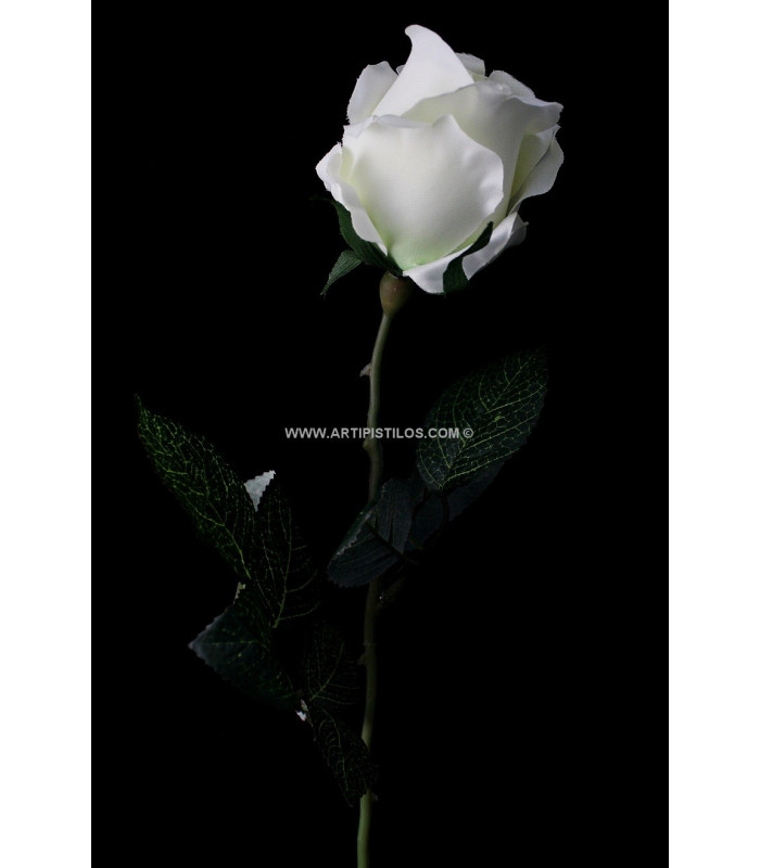 FABRIC ROSE