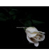 FABRIC ROSE